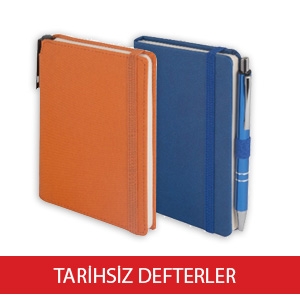 TARİHSİZ DEFTERLER